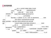 初中生物新人教版七年級下冊第四單元第四、五章總結訓練作業(yè)課件2025春