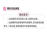 初中生物新人教版七年級下冊第四單元第四、五章總結訓練作業(yè)課件2025春