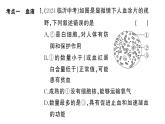 初中生物新人教版七年級下冊第四單元第四、五章總結訓練作業(yè)課件2025春