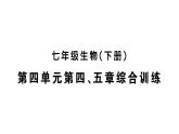 初中生物新人教版七年級下冊第四單元第四、五章綜合訓練作業(yè)課件2025春