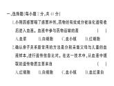 初中生物新人教版七年級下冊第四單元第四、五章綜合訓練作業(yè)課件2025春