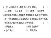 初中生物新人教版七年級下冊第四單元第四、五章綜合訓練作業(yè)課件2025春