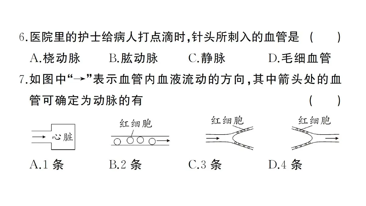 初中生物新人教版七年级下册第四单元第四、五章综合训练作业课件2025春第5页