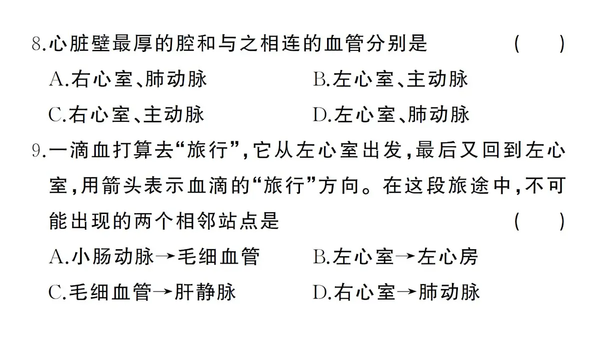 初中生物新人教版七年级下册第四单元第四、五章综合训练作业课件2025春第6页