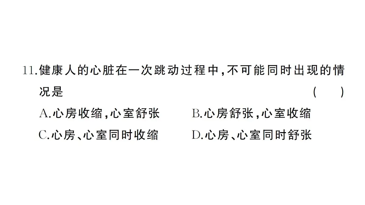 初中生物新人教版七年级下册第四单元第四、五章综合训练作业课件2025春第8页