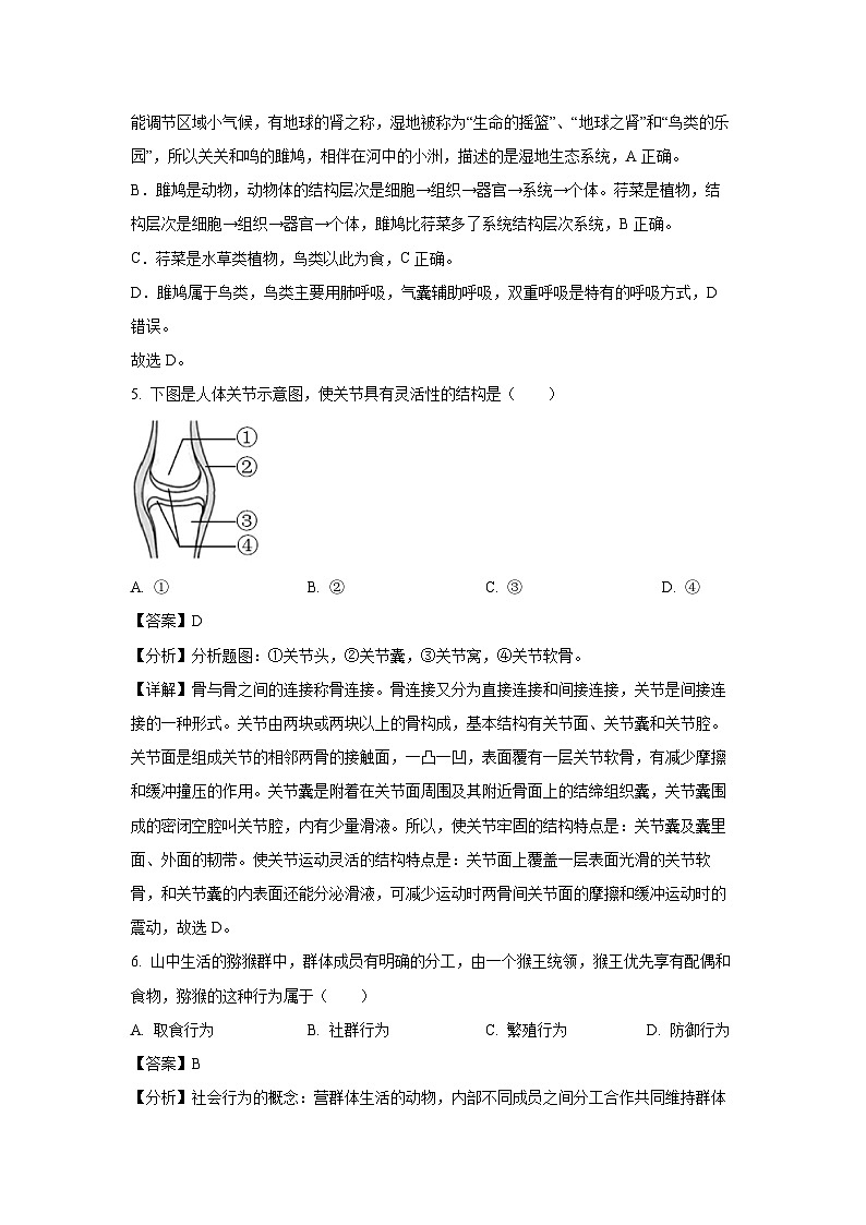 2023年广西百色市初中学业水平模拟考试( 二）生物试卷（解析版）第3页