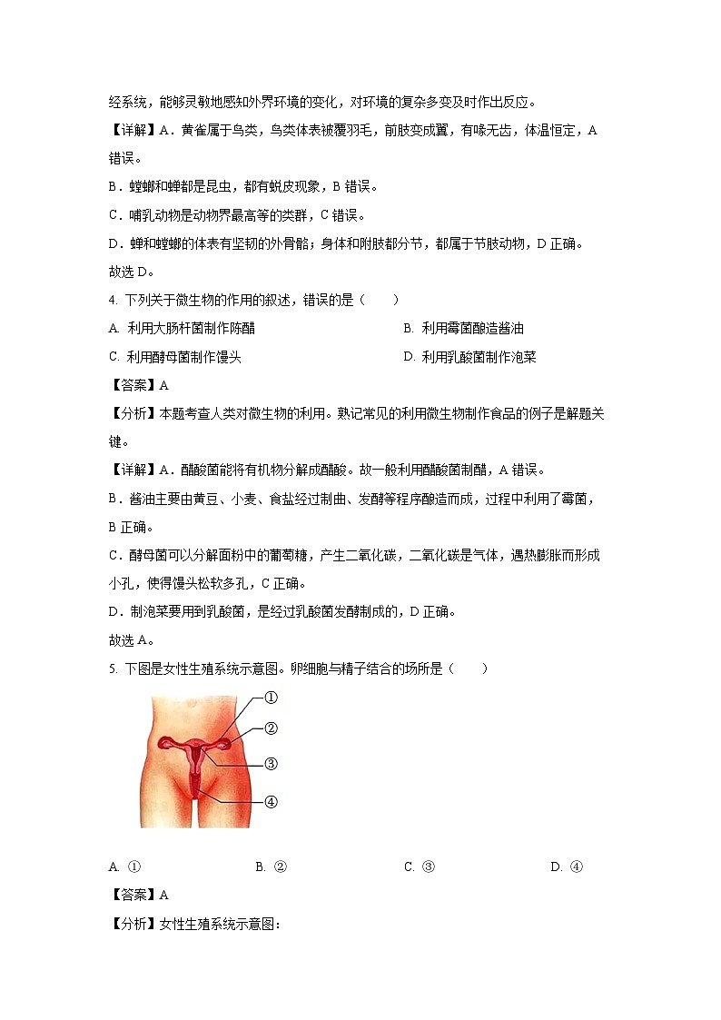 2023年广西桂林市桂林中学中考二模生物试卷（解析版）第3页