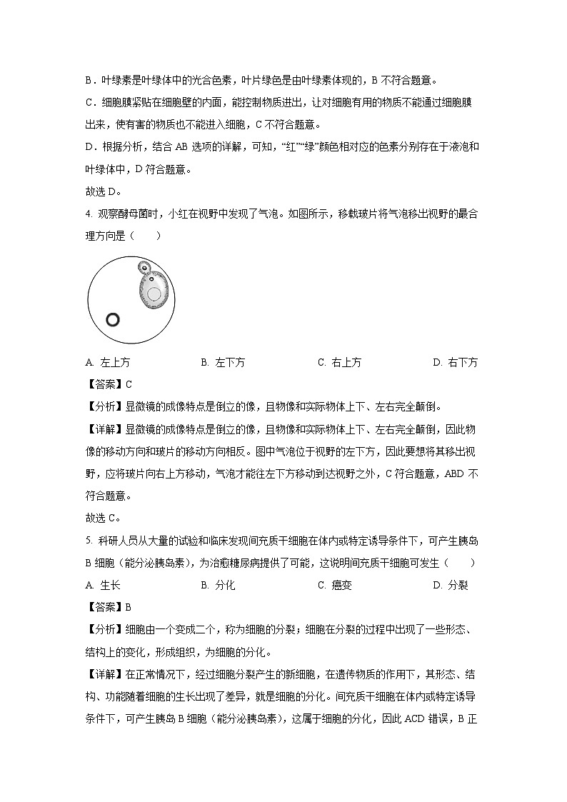 2023年广西柳州市柳北区中考二模生物试卷（解析版）第3页