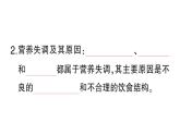初中生物新北師大版七年級(jí)下冊(cè)第4單元第6章第3節(jié) 合理膳食與食品安全作業(yè)課件2025春