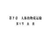 初中生物新北師大版七年級(jí)下冊(cè)第4單元第7章第1節(jié) 血液作業(yè)課件2025春