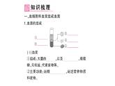 初中生物新北師大版七年級(jí)下冊(cè)第4單元第7章第1節(jié) 血液作業(yè)課件2025春