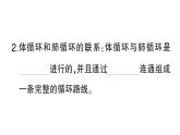 初中生物新北師大版七年級下冊第4單元第7章第2節(jié)第2課時 血液循環(huán)作業(yè)課件2025春
