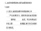 初中生物新北師大版七年級下冊第4單元第7章第2節(jié)第2課時 血液循環(huán)作業(yè)課件2025春