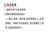 初中生物新北師大版七年級(jí)下冊(cè)第4單元第9章第1節(jié) 人體產(chǎn)生的代謝廢物作業(yè)課件2025春