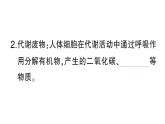初中生物新北師大版七年級(jí)下冊(cè)第4單元第9章第1節(jié) 人體產(chǎn)生的代謝廢物作業(yè)課件2025春