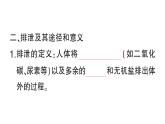 初中生物新北師大版七年級(jí)下冊(cè)第4單元第9章第1節(jié) 人體產(chǎn)生的代謝廢物作業(yè)課件2025春