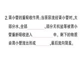 初中生物新北師大版七年級下冊第4單元第9章第2節(jié)第2課時(shí) 尿的形成與排出作業(yè)課件2025春