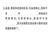 初中生物新北師大版七年級下冊第4單元第9章第2節(jié)第2課時(shí) 尿的形成與排出作業(yè)課件2025春