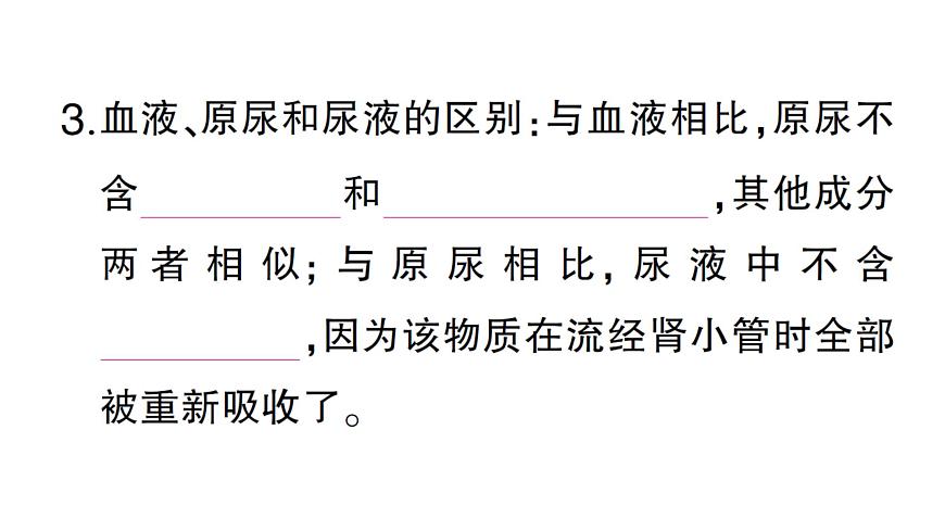 初中生物新北师大版七年级下册第4单元第9章第2节第2课时 尿的形成与排出作业课件2025春第4页