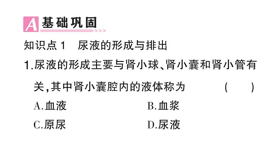 初中生物新北师大版七年级下册第4单元第9章第2节第2课时 尿的形成与排出作业课件2025春第7页