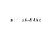 初中生物新北師大版七年級下冊第4單元第9章第3節(jié) 皮膚與汗液分泌作業(yè)課件2025春