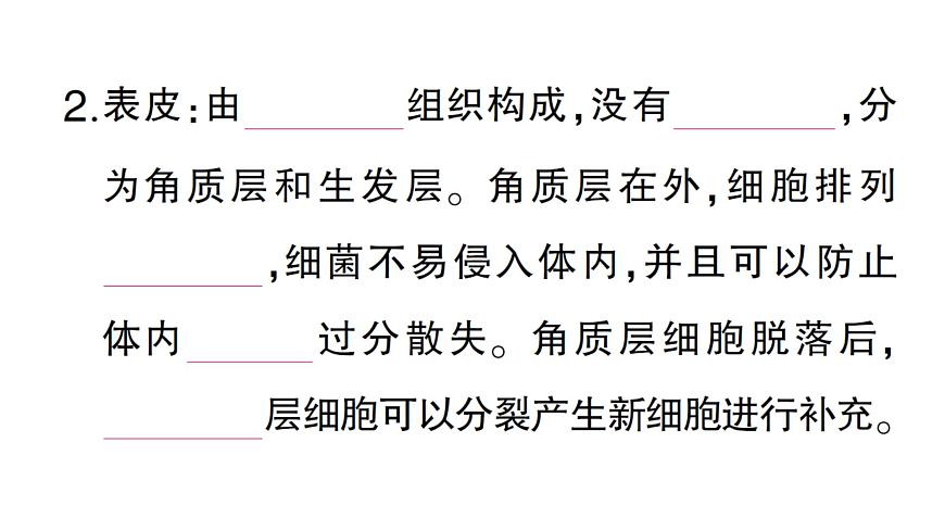 初中生物新北师大版七年级下册第4单元第9章第3节 皮肤与汗液分泌作业课件2025春第3页