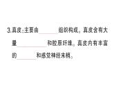 初中生物新北師大版七年級下冊第4單元第9章第3節(jié) 皮膚與汗液分泌作業(yè)課件2025春
