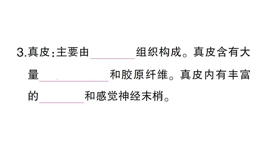 初中生物新北师大版七年级下册第4单元第9章第3节 皮肤与汗液分泌作业课件2025春第4页