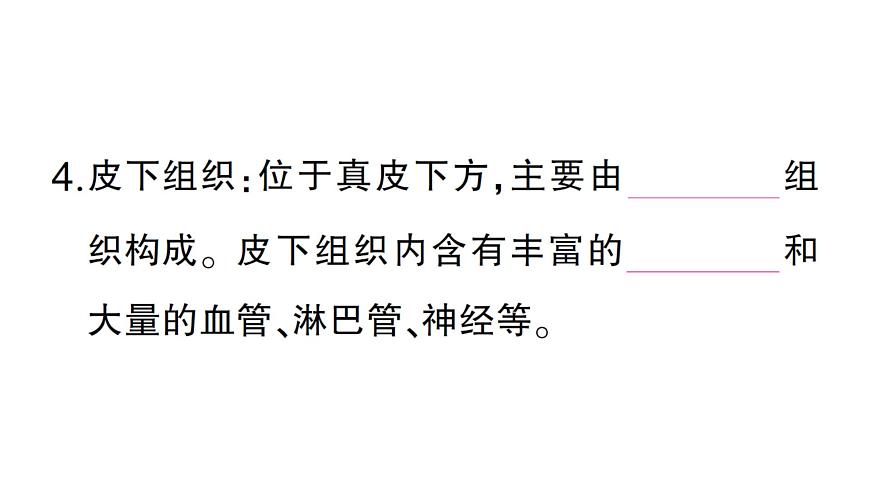 初中生物新北师大版七年级下册第4单元第9章第3节 皮肤与汗液分泌作业课件2025春第5页