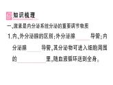 初中生物新北师大版七年级下册第4单元第10章第3节 激素调节作业课件2025春