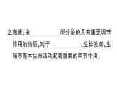 初中生物新北师大版七年级下册第4单元第10章第3节 激素调节作业课件2025春