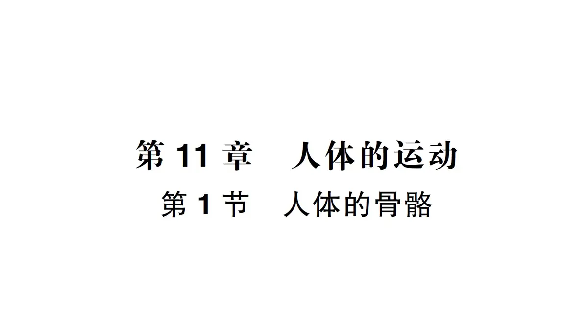 初中生物新北师大版七年级下册第4单元第11章 第1节 人体的骨骼作业课件2025春第1页