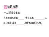 初中生物新北师大版七年级下册第4单元第11章 第1节 人体的骨骼作业课件2025春