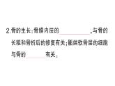 初中生物新北师大版七年级下册第4单元第11章 第1节 人体的骨骼作业课件2025春