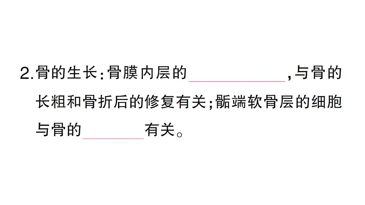 初中生物新北师大版七年级下册第4单元第11章 第1节 人体的骨骼作业课件2025春第5页