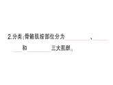 初中生物新北師大版七年級下冊第4單元第11章 第2節(jié) 人體的骨骼肌作業(yè)課件2025春