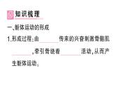 初中生物新北師大版七年級下冊第4單元第11章第3節(jié) 運動的形成作業(yè)課件2025春
