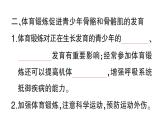 初中生物新北師大版七年級下冊第4單元第11章第3節(jié) 運動的形成作業(yè)課件2025春
