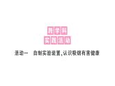 初中生物新北師大版七年級下冊跨學科實踐活動活動一 自制實驗裝置，認識吸煙有害健康作業(yè)課件2025春