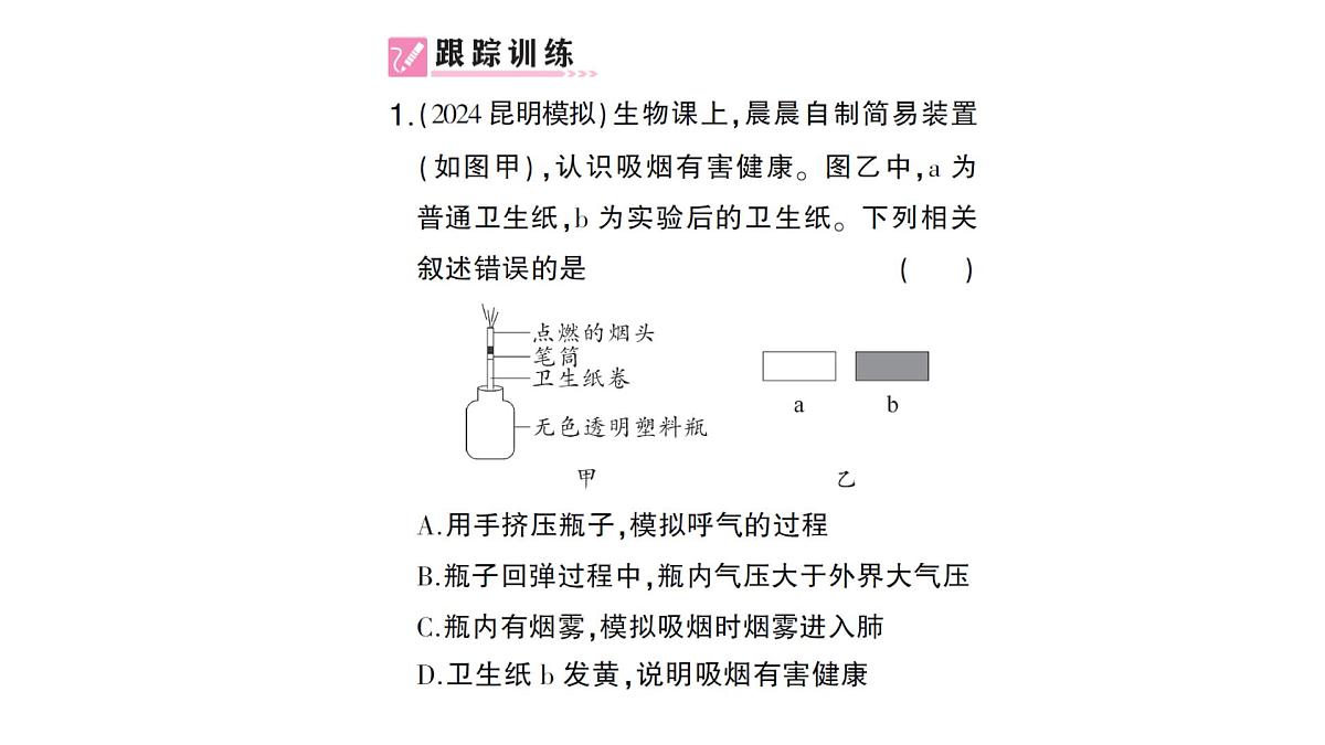 初中生物新北师大版七年级下册跨学科实践活动活动一 自制实验装置，认识吸烟有害健康作业课件2025春第2页