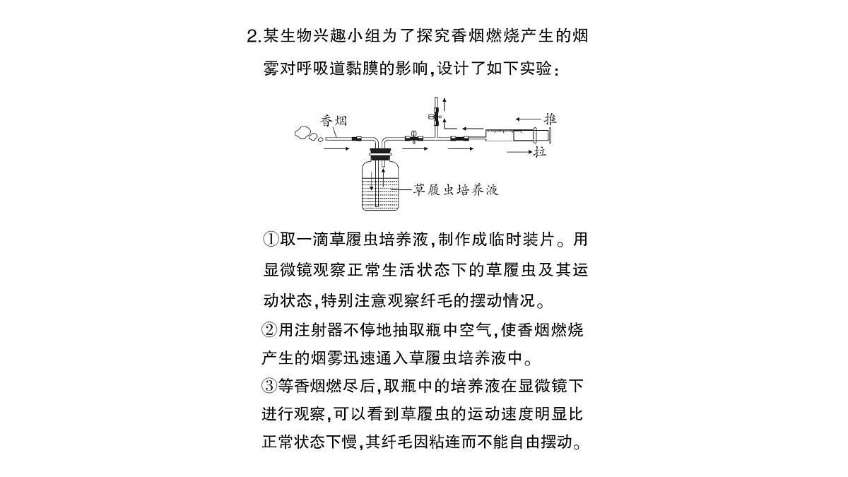 初中生物新北师大版七年级下册跨学科实践活动活动一 自制实验装置，认识吸烟有害健康作业课件2025春第3页