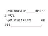 初中生物新北師大版七年級下冊跨學科實踐活動活動一 自制實驗裝置，認識吸煙有害健康作業(yè)課件2025春