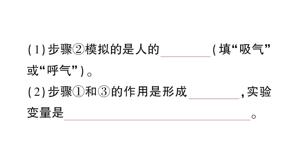 初中生物新北师大版七年级下册跨学科实践活动活动一 自制实验装置，认识吸烟有害健康作业课件2025春第4页
