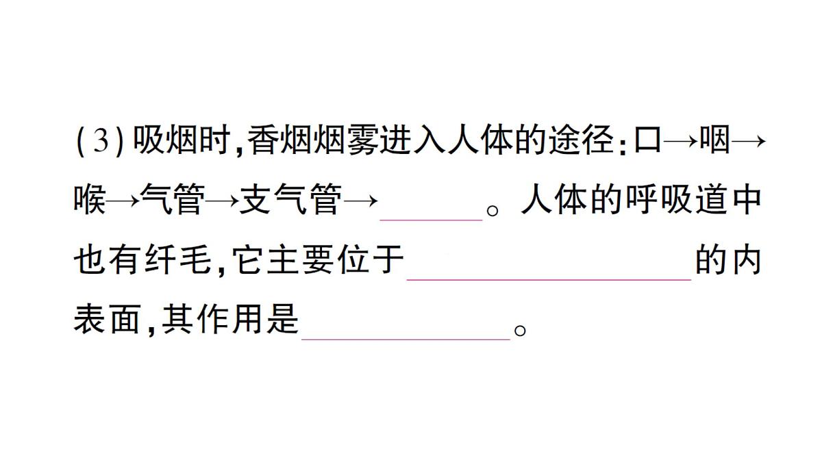 初中生物新北师大版七年级下册跨学科实践活动活动一 自制实验装置，认识吸烟有害健康作业课件2025春第5页
