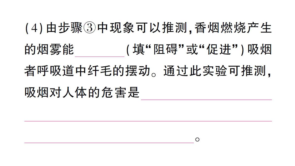 初中生物新北师大版七年级下册跨学科实践活动活动一 自制实验装置，认识吸烟有害健康作业课件2025春第6页