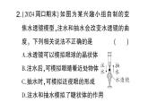 初中生物新北師大版七年級下冊跨學科實踐活動活動二 制作可調(diào)節(jié) 的成像模型模擬眼球成像作業(yè)課件2025春