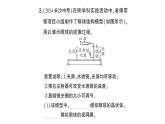 初中生物新北師大版七年級下冊跨學科實踐活動活動二 制作可調(diào)節(jié) 的成像模型模擬眼球成像作業(yè)課件2025春
