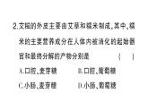 初中生物新北师大版七年级下册期末主题情境题作业课件2025春