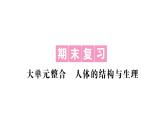 初中生物新北师大版七年级下册期末大单元整合人体的结构与生理作业课件2025春