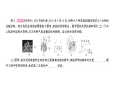 初中生物新北师大版七年级下册期末大单元整合人体的结构与生理作业课件2025春